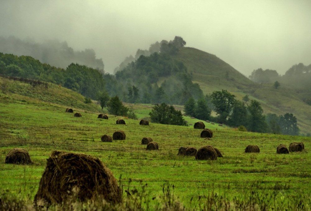 Photograph by Андрей Закатимов