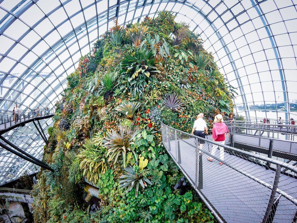 Strolling at Cloud Forest Dome