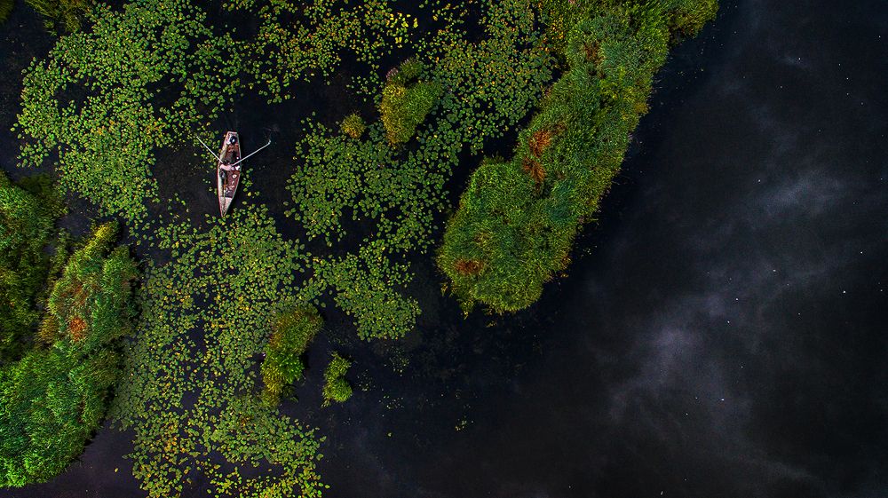 утренняя рыбалка