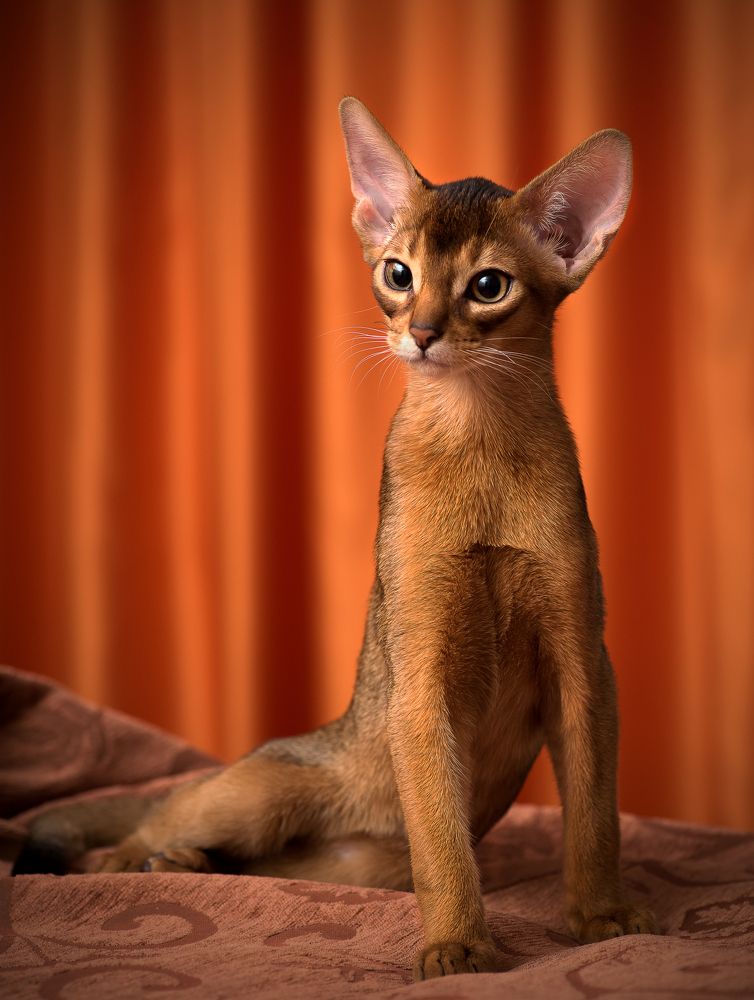 Photograph by Ирина