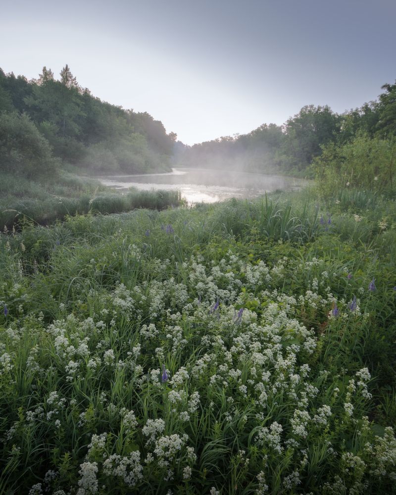 Фотография автора Алексей Проняхин