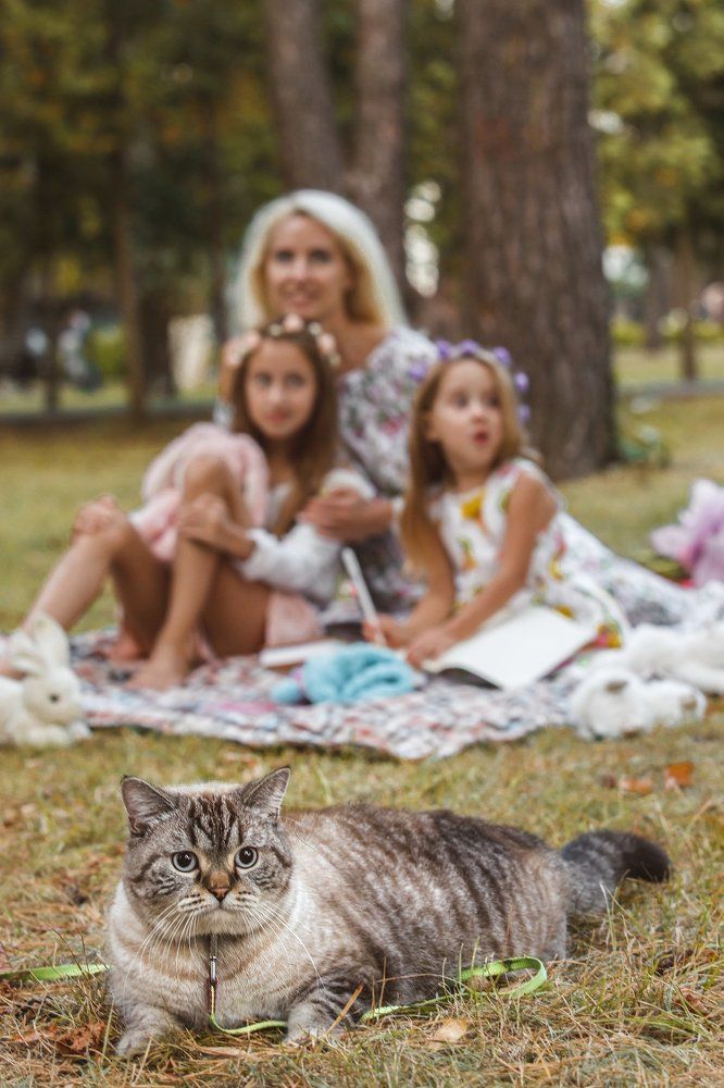 Photograph by Игорь Исаков