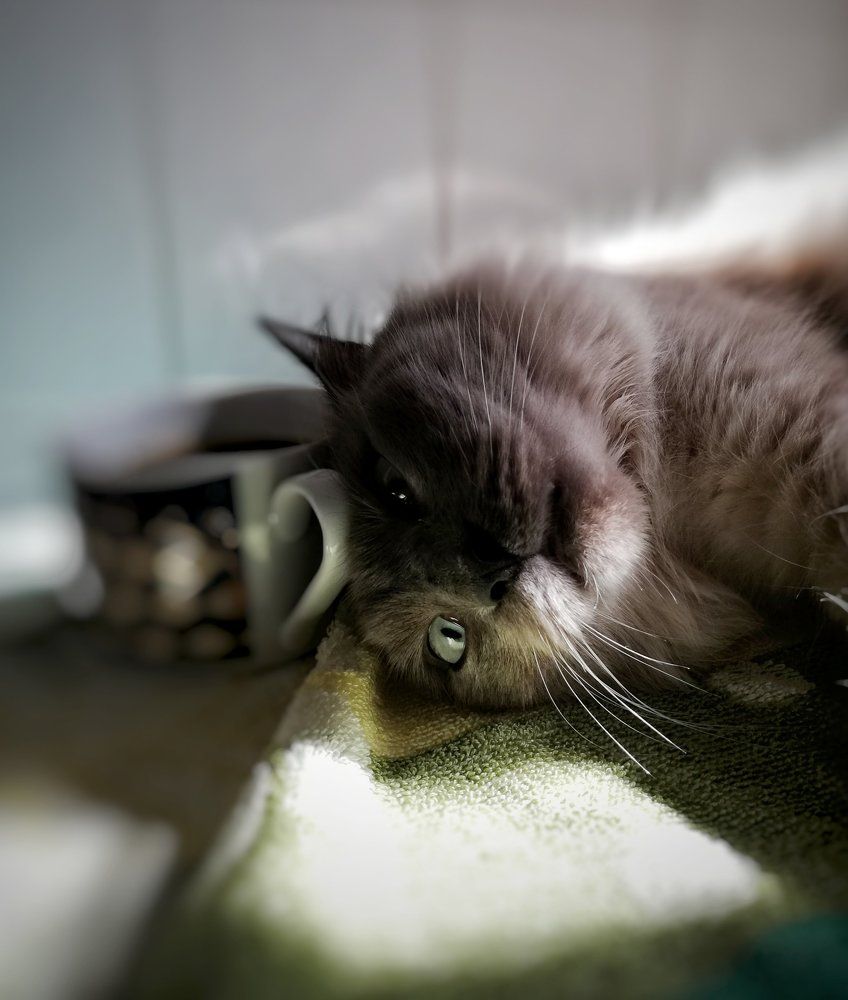 And nothing else matters...