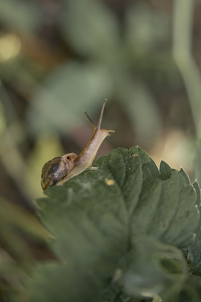 Photograph by Юлия Полянцева