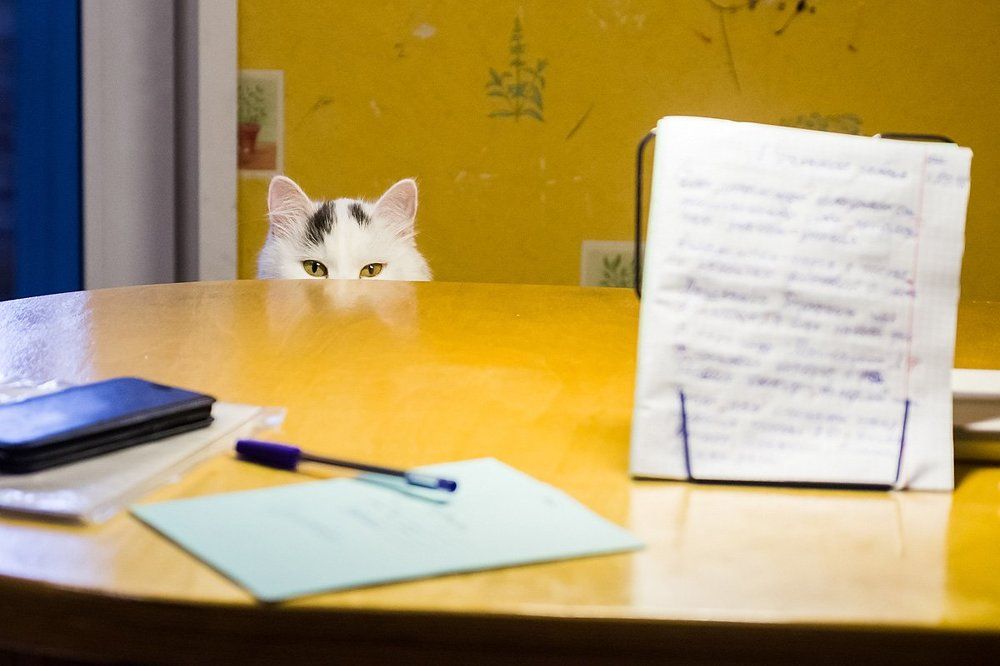 Ну научите же меня уже!