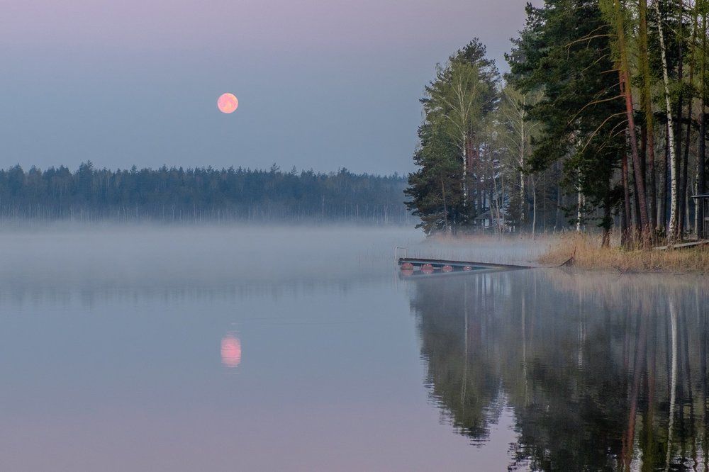 Photograph by Анатолий Асеев