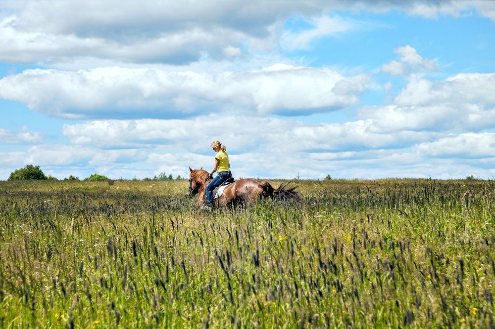Русское поле
