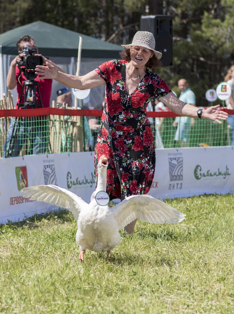 Беги, Бродский, беги!