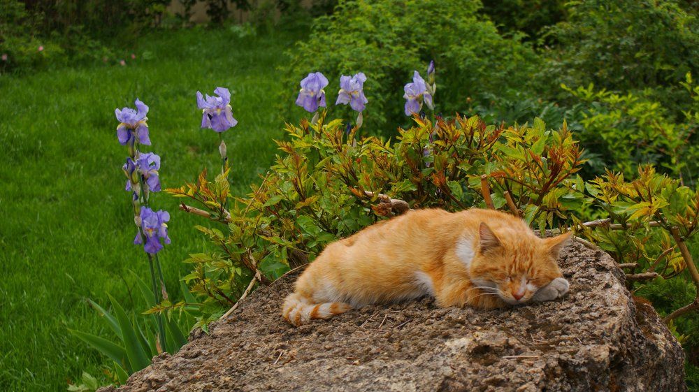 Photograph by Игорь Найдер