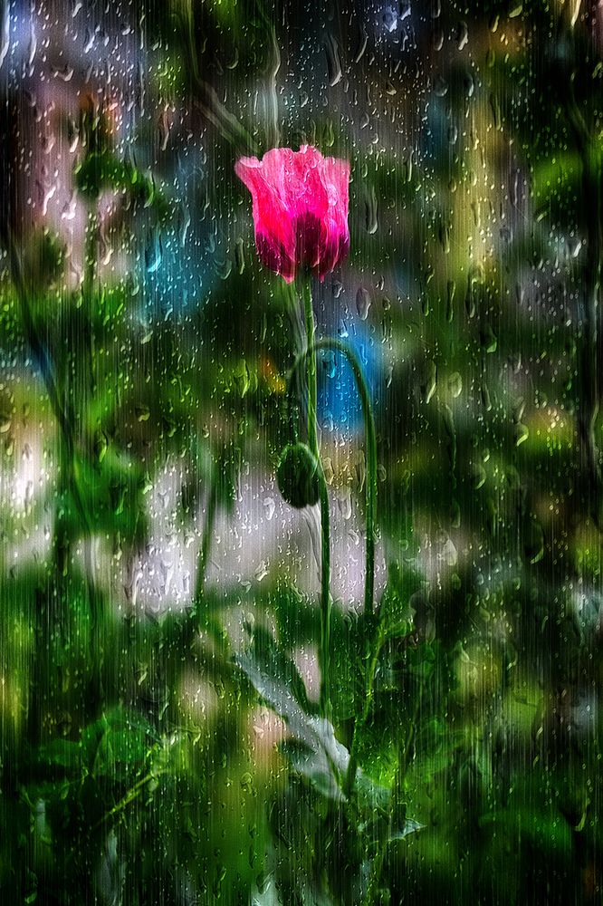 Photograph by Evgenii Pyatkov