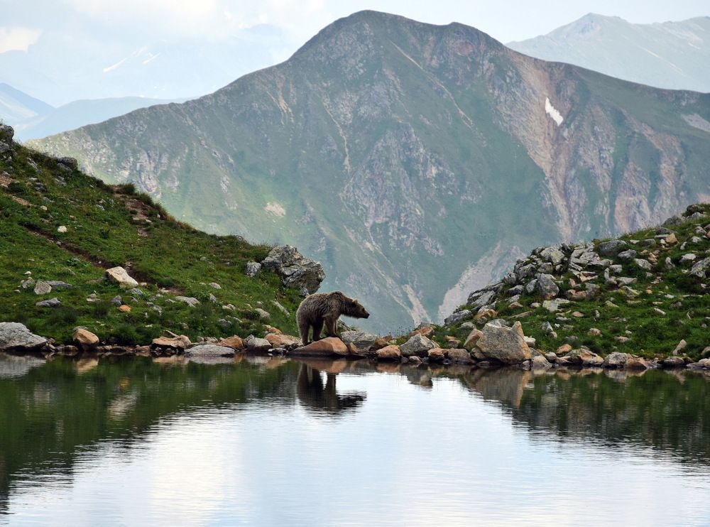 Хозяин озера.