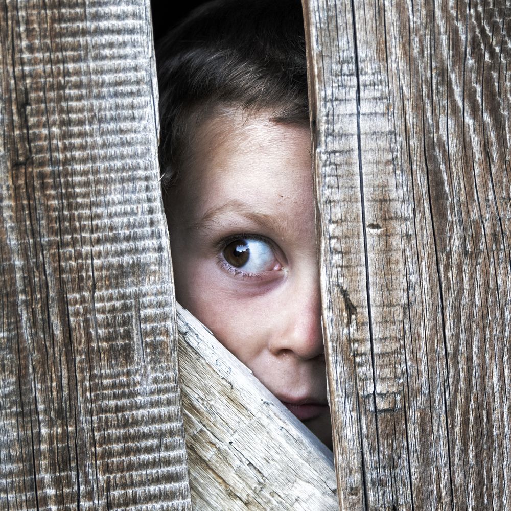 Сквозь забор