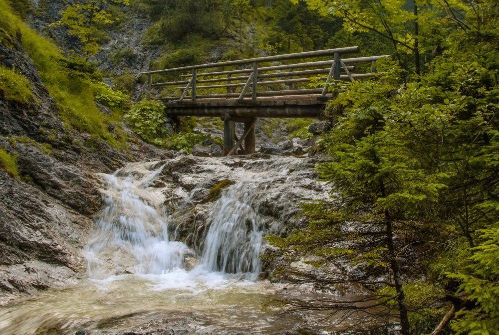 лето в разгаре