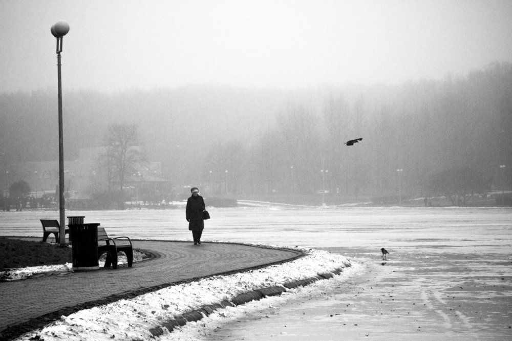 Ноябрьский туман