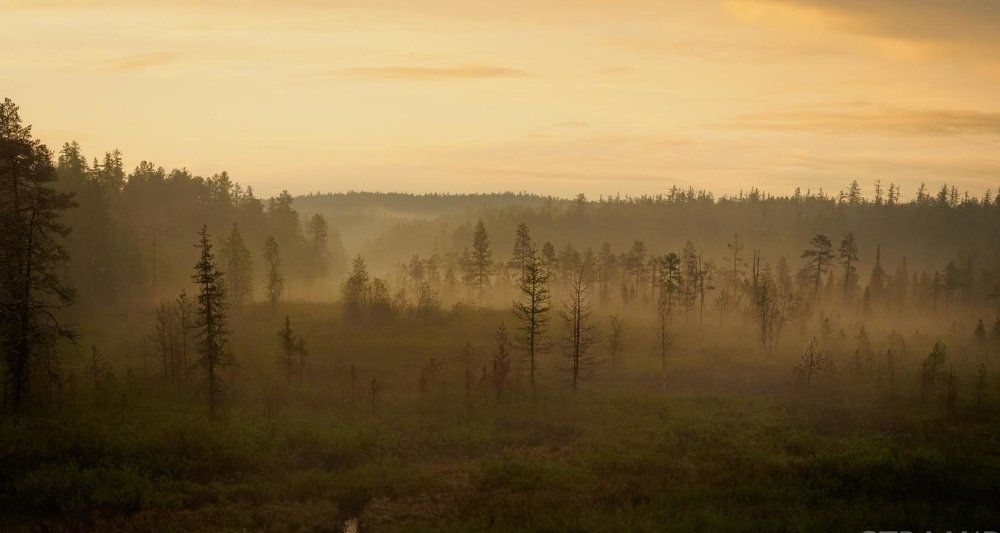 Фотография автора Straand2614