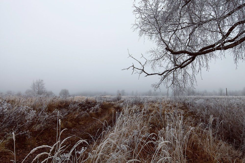 Туманная осень