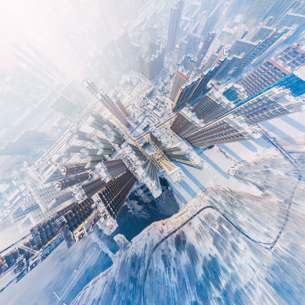 Городские джунгли