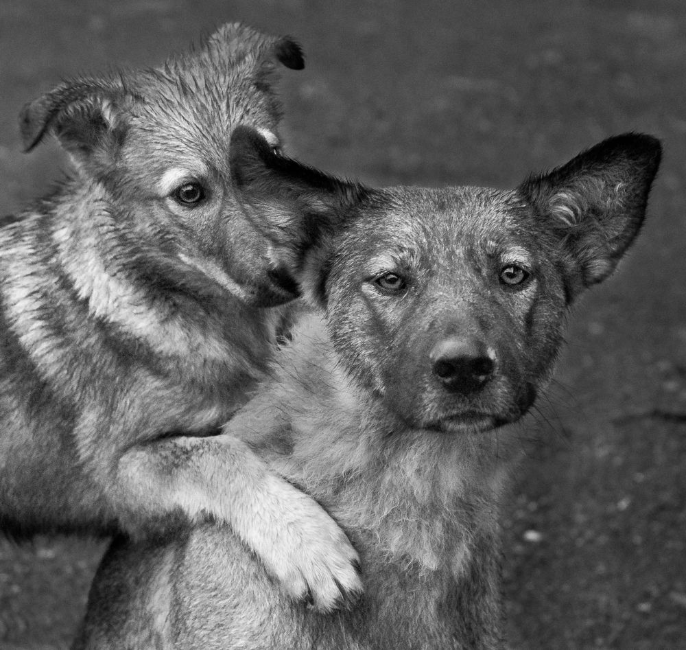 Муся и барбуся!
