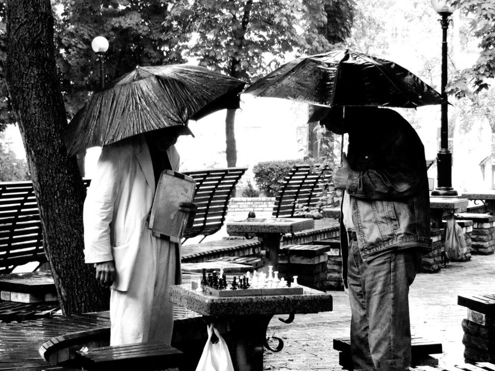 Парк, дождь, шахматы...(  Park, rain, chess ).