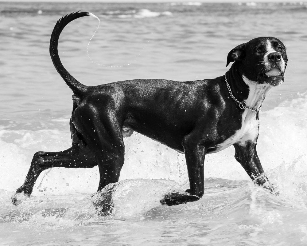 Photograph by Michael