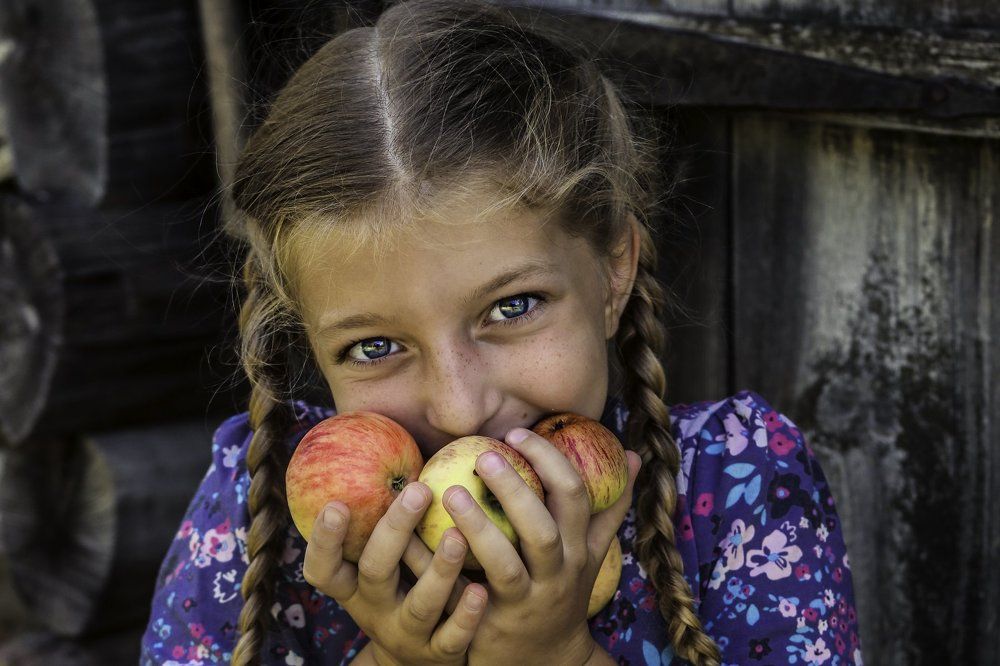 летние яблоки