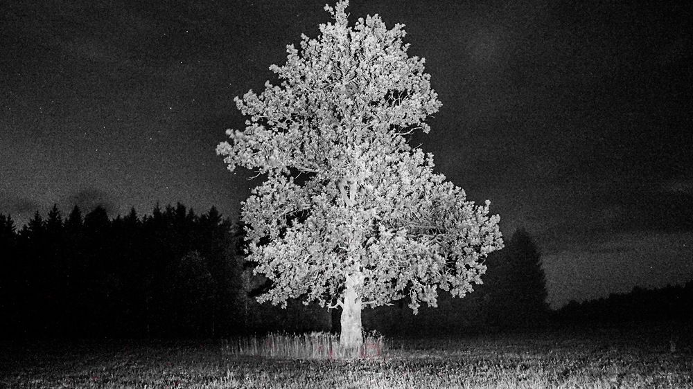 Photograph by Владислав Шигера