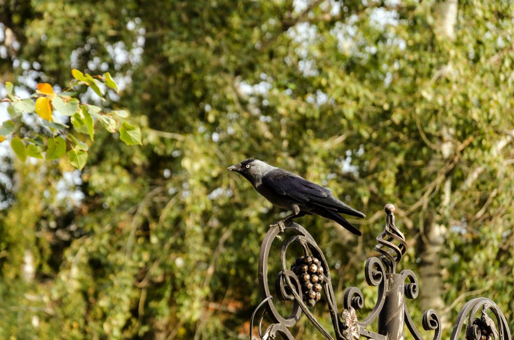 Photograph by Константин