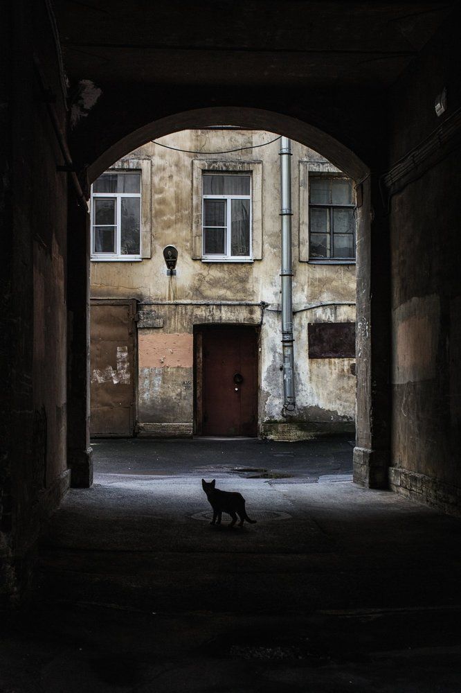 Совсем один