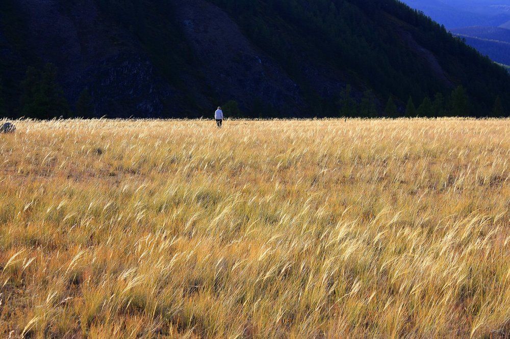 Одна в поле