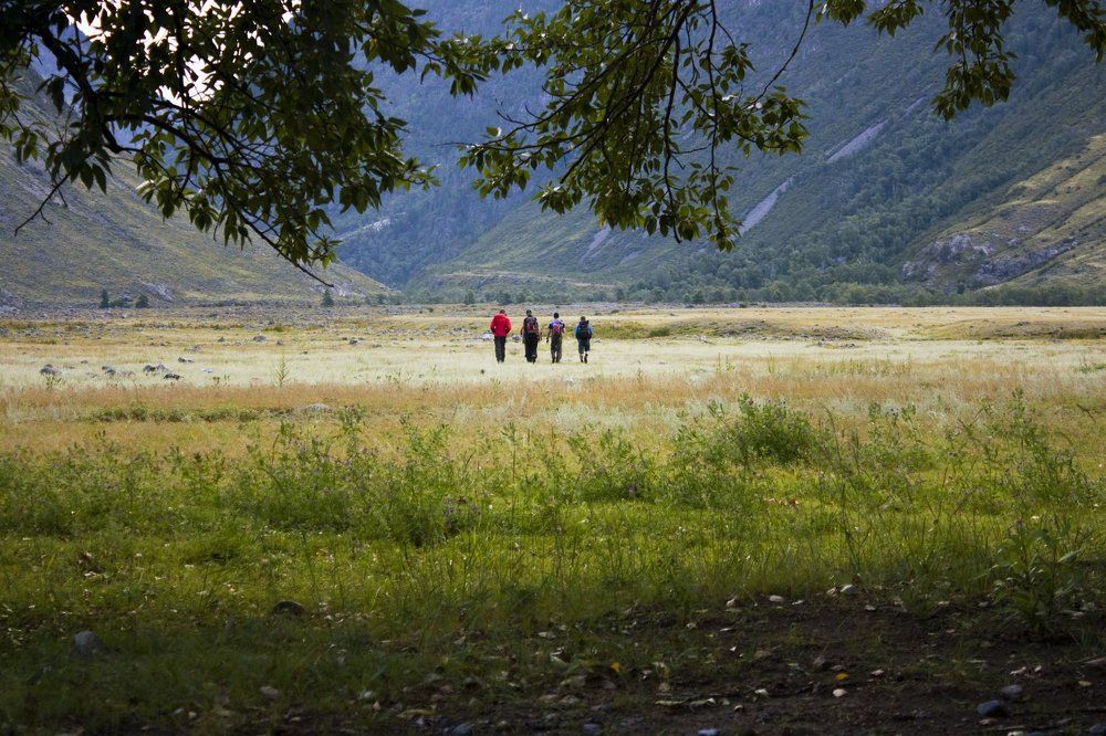 Впереди неизвестность