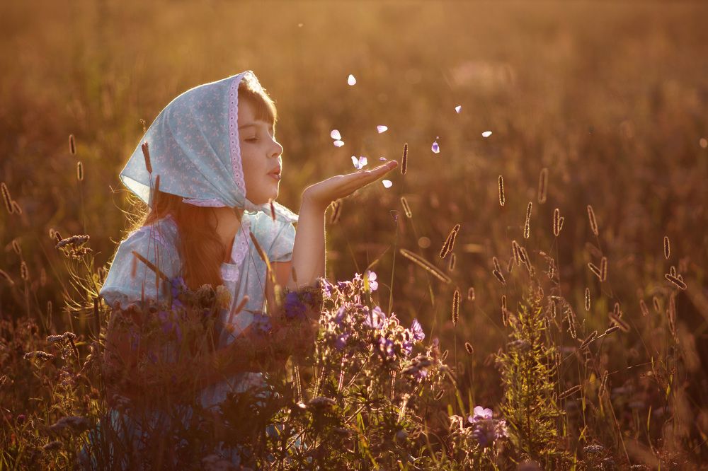 Волшебные лепестки