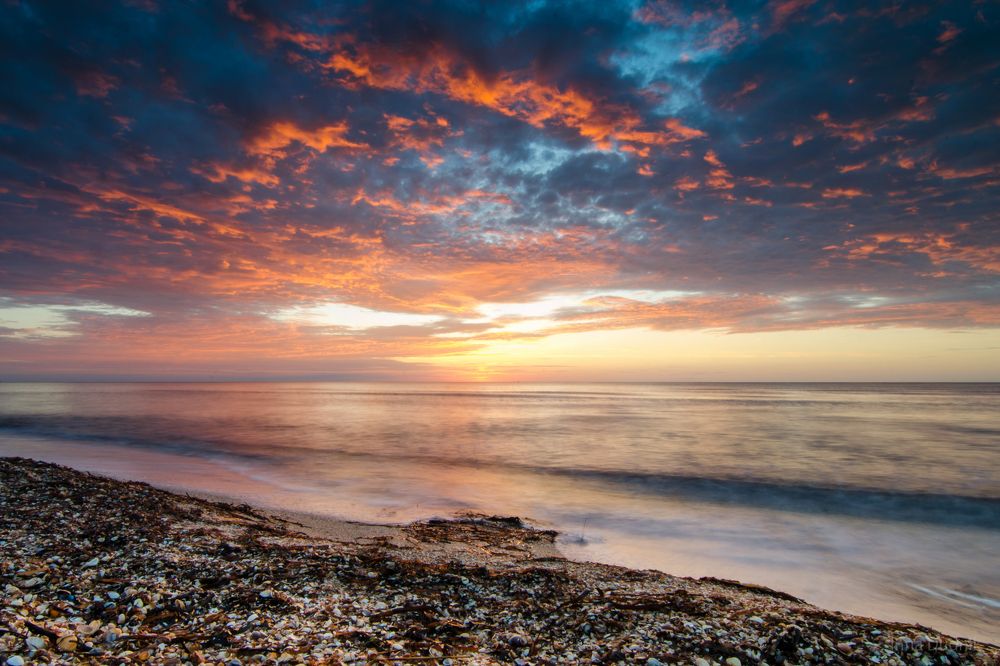 морские палитры