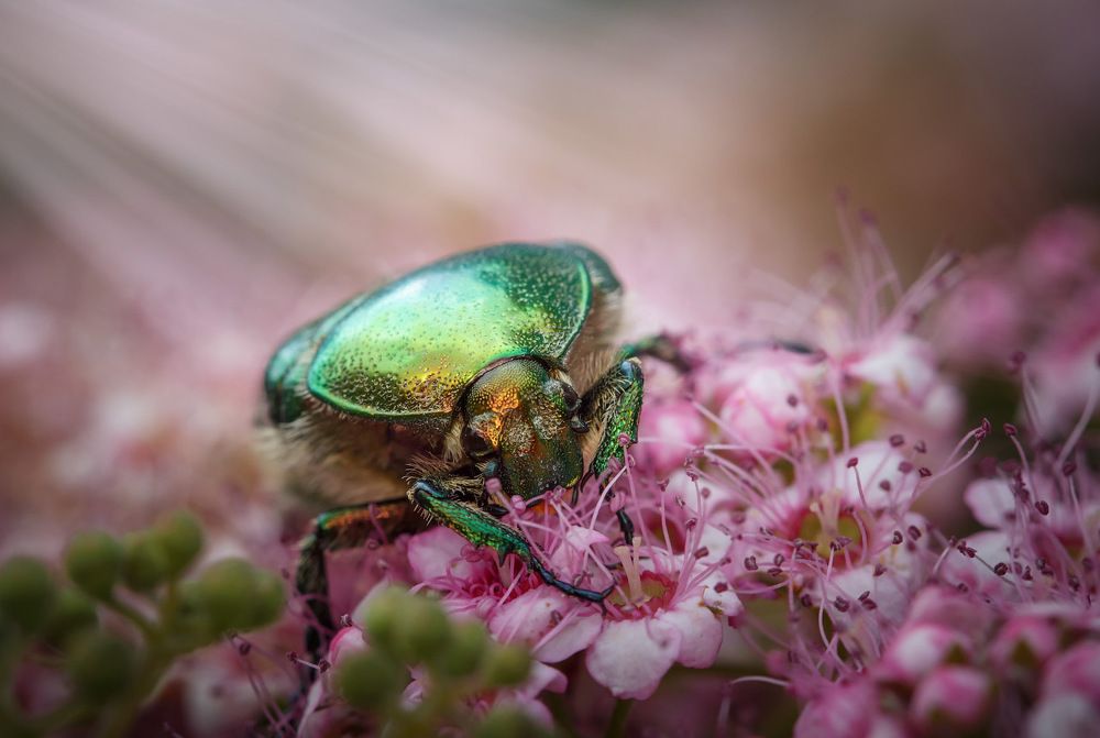 Photograph by Сергей Пискарёв