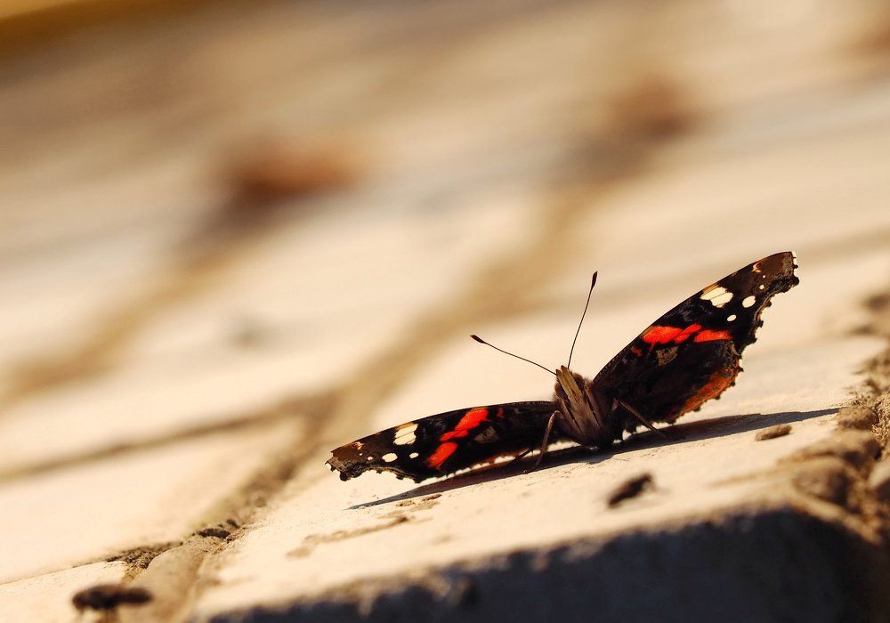 "Привет! Ты кто?"