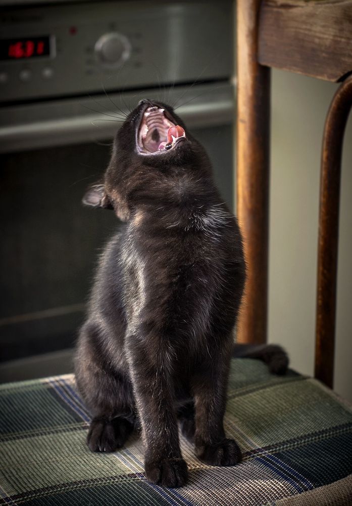 Еду закладывать сюда-а-а!