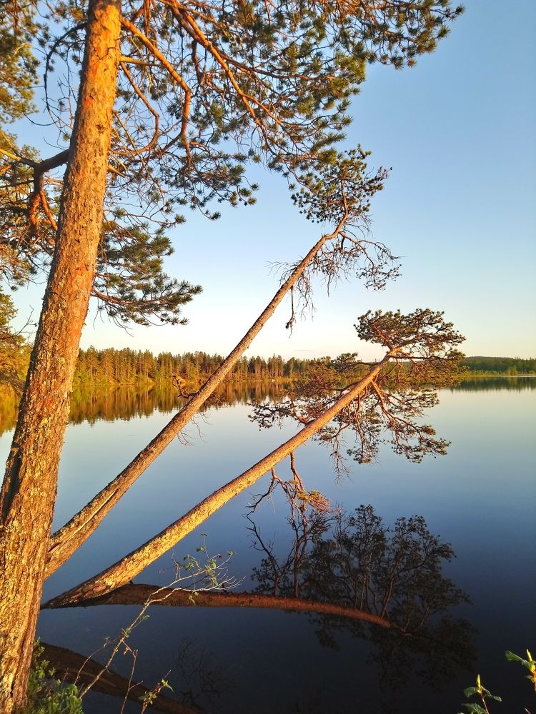 Красота Умбы