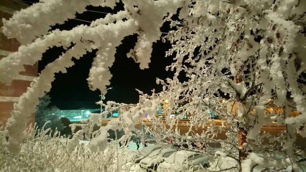 Полярная ночь