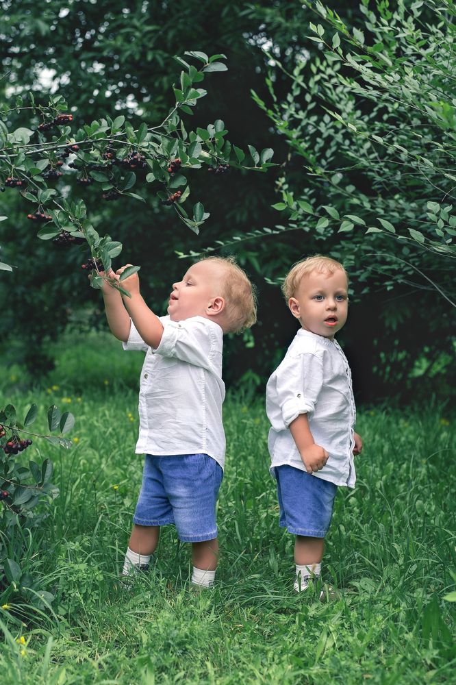 Ты рви..рви я покараулю