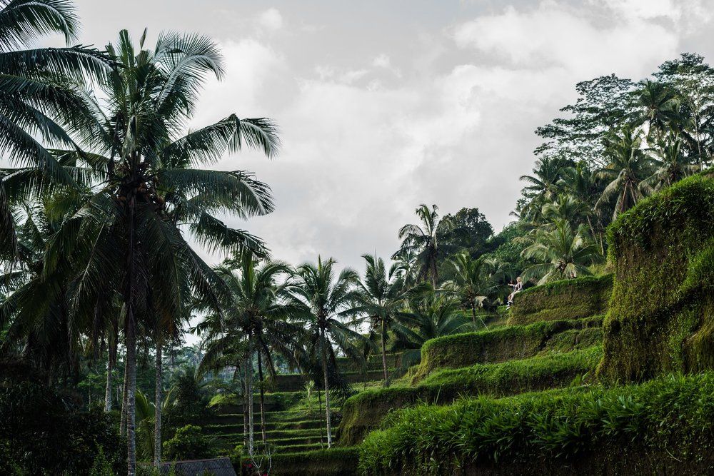Relax in the rice terraces