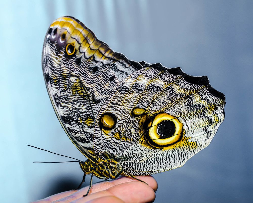 Фотография автора Гера Восьмая