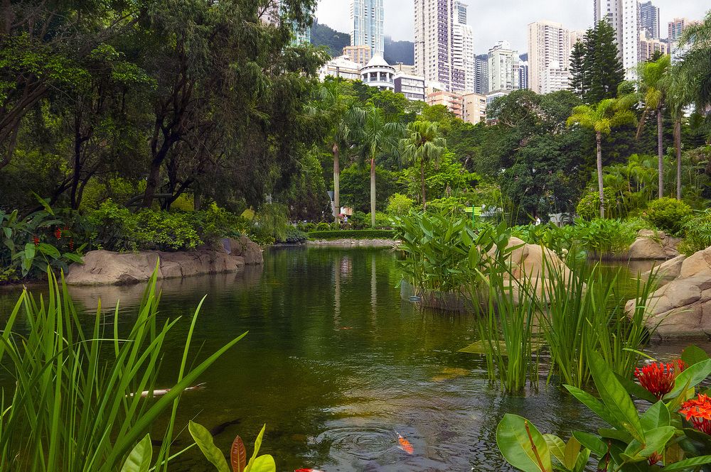 Парк Гонконг