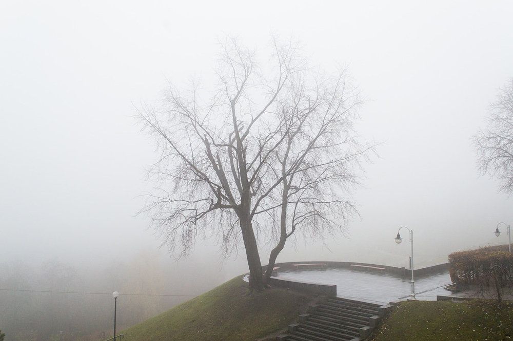 Photograph by Nikita Zander