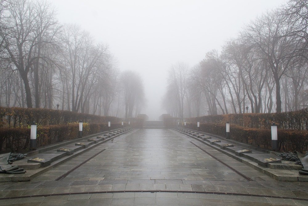 Photograph by Nikita Zander