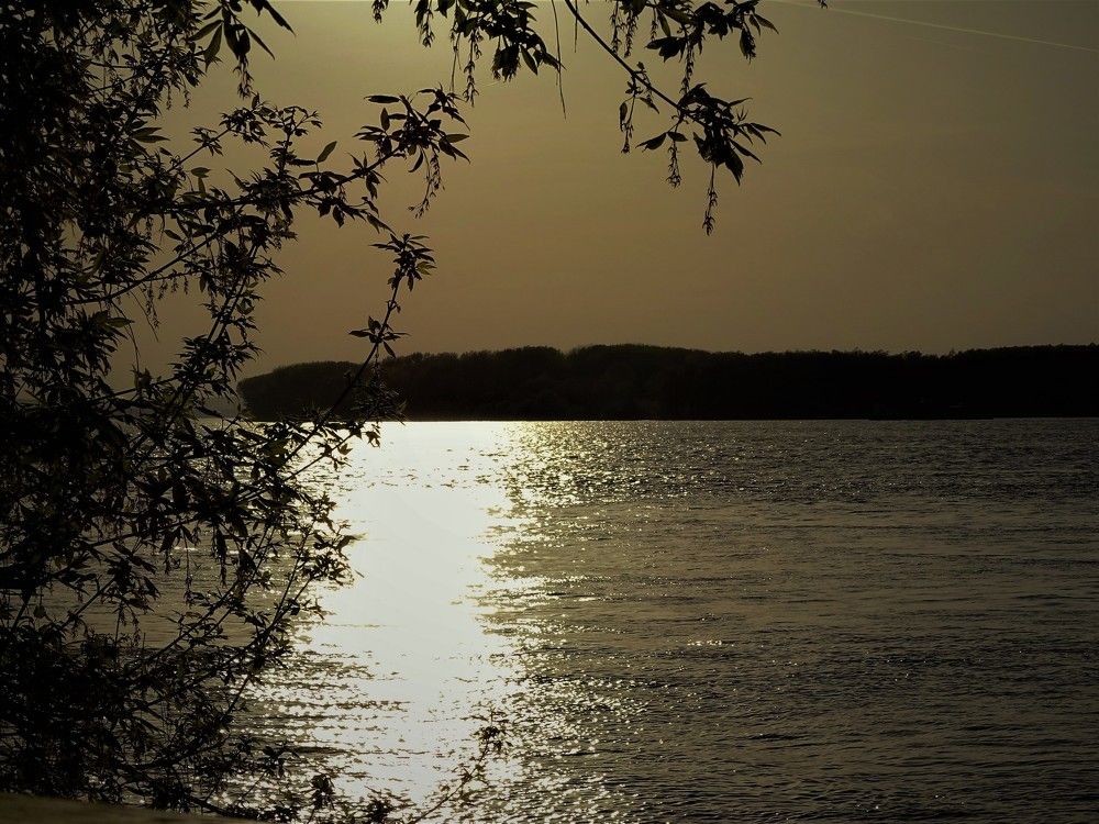 Към залез на река Дунав