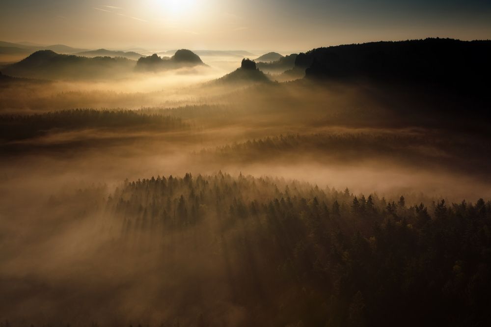 Рассветный туман