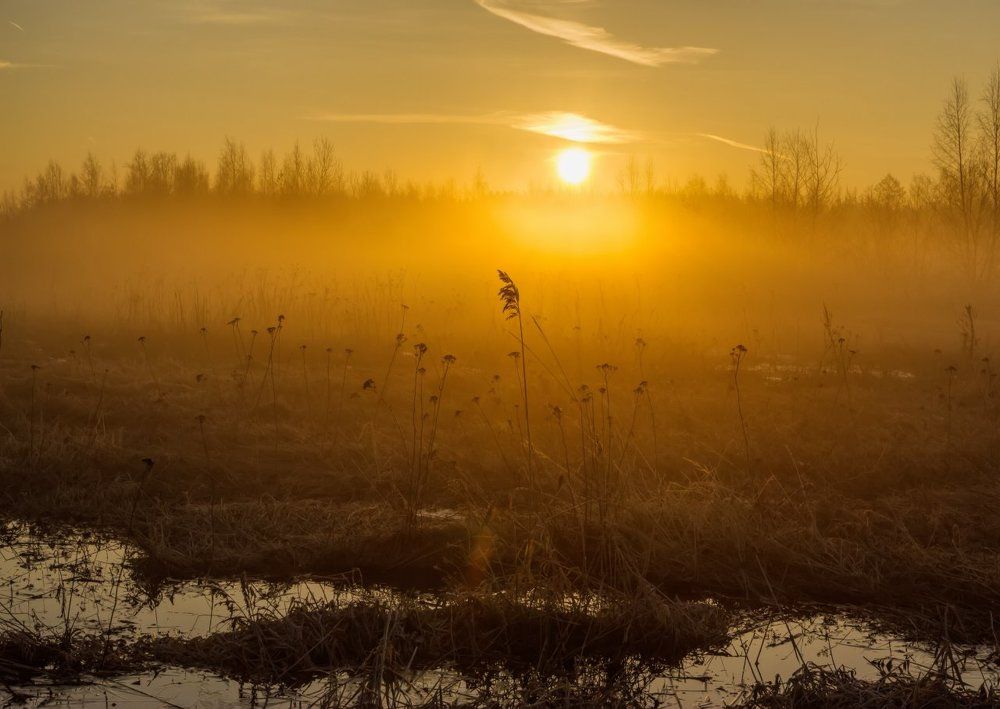 Рассветная