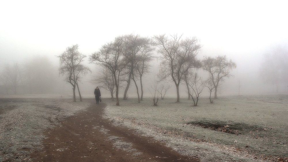 Осенний туман