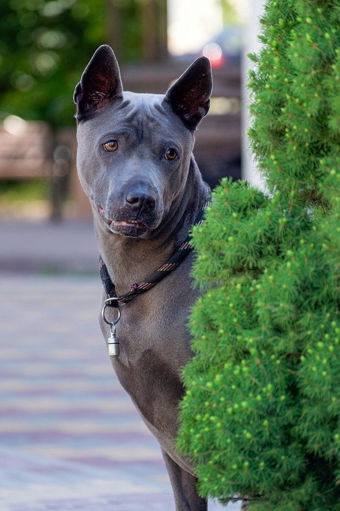 Photograph by Евгений Крутиков