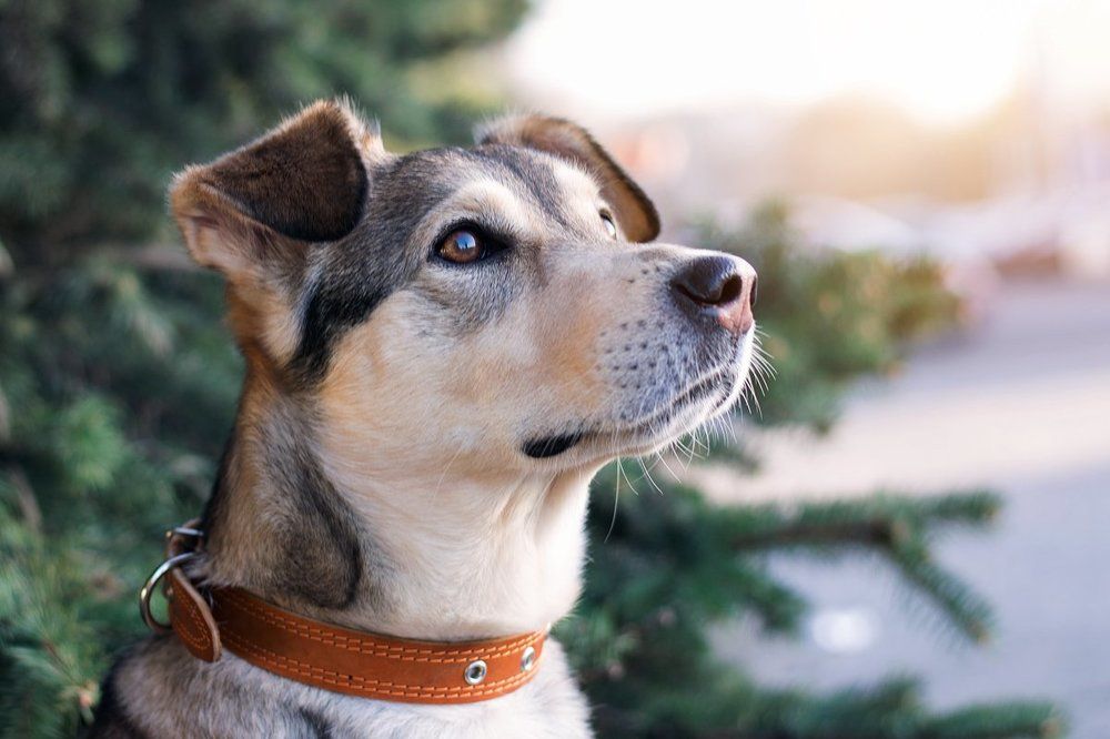 Photograph by Евгений Крутиков