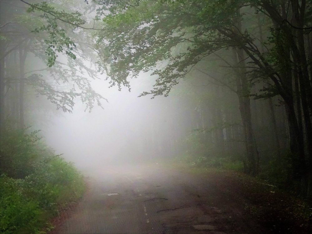 Омагьосаният път